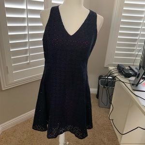 Maggie London Petite navy blue and pink lace dress